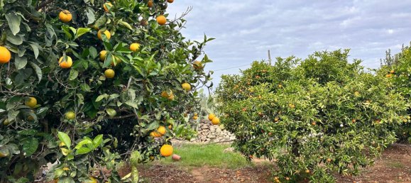 Вилла с 5 комнатами в Gallipoli, Италия № 133453 18