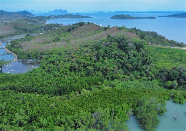 58582m² Commercial property in Pa Klok, Thailand No. 12559