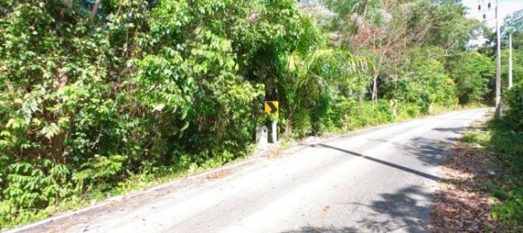 58582m² Commercial property in Pa Klok, Thailand No. 12559 27