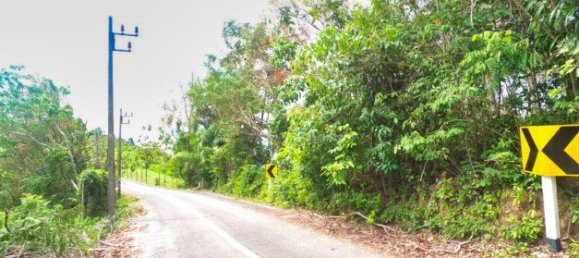 58582m² Commercial property in Pa Klok, Thailand No. 12559 3