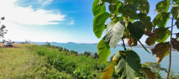 58582m² Commercial property in Pa Klok, Thailand No. 12559 29