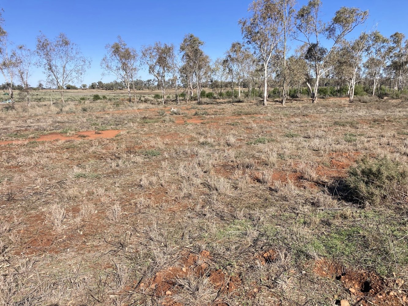 Terreno en Curlew Waters, Australia 6759 m² No. 529