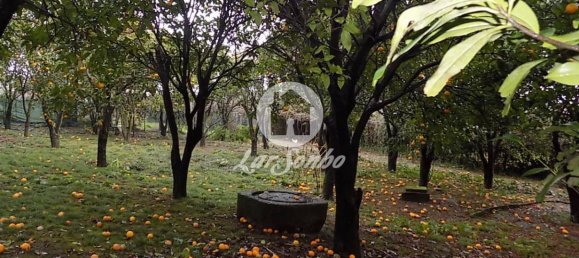 4 Schlafzimmer Haus in Vila Nova de Famalicao, Portugal, Nr. 62503 12