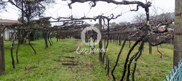 4 Schlafzimmer Haus in Vila Nova de Famalicao, Portugal, Nr. 62503 13