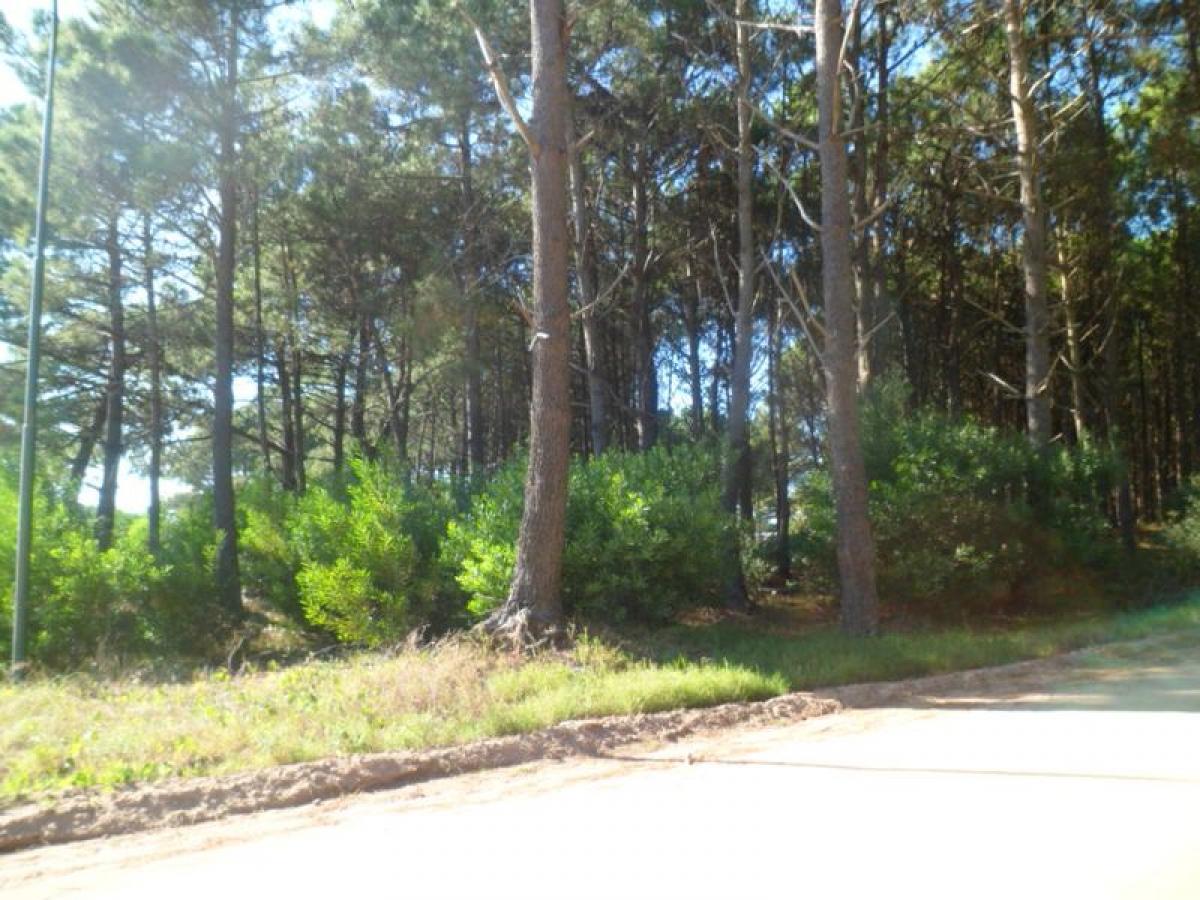  Land in Mar del Plata, Argentina No. 119869