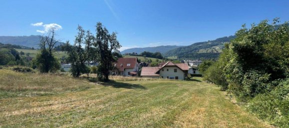 Земельный участок в Шайбс, Австрия № 15434 5