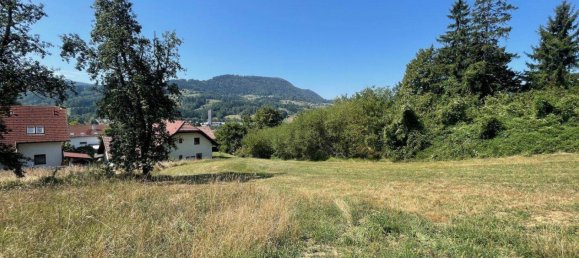 Земельный участок в Шайбс, Австрия № 15434 8