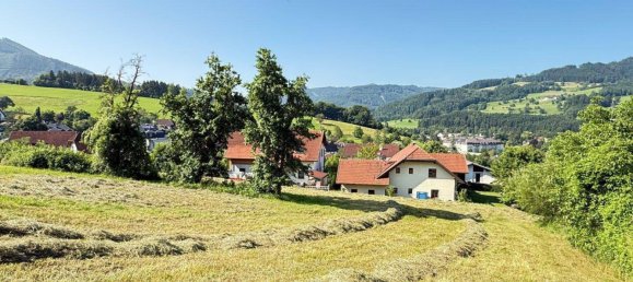 Земельный участок в Шайбс, Австрия № 15434 4