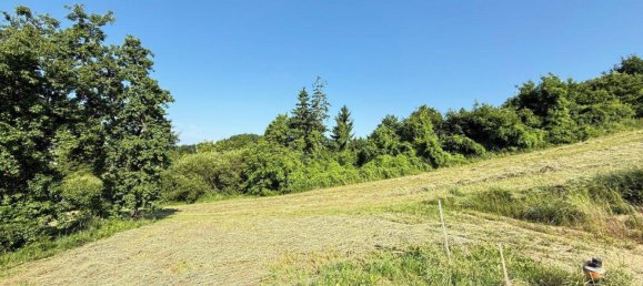 Земельный участок в Шайбс, Австрия № 15434 3