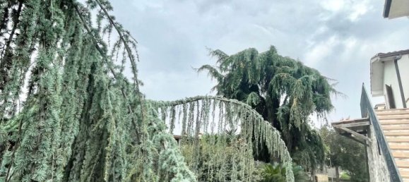 Вилла с 6 комнатами в Мендичино, Италия № 303606 41