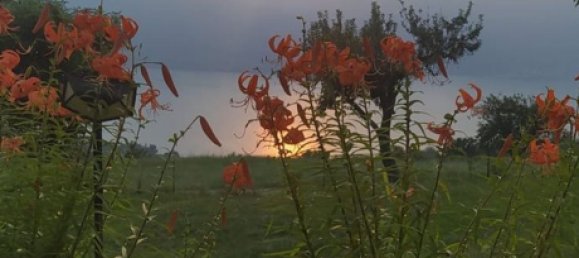 2-salle Penthouse à San Zeno di Montagna, Italy No. 255468 14