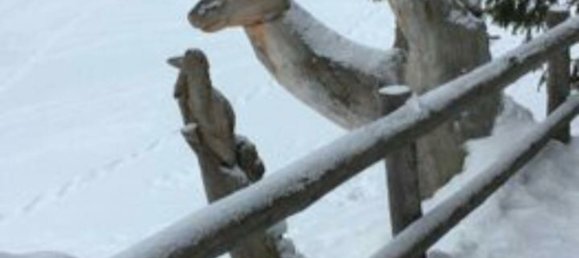 2-salle Penthouse à San Zeno di Montagna, Italy No. 255468 4