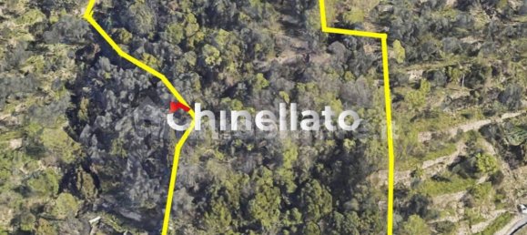 Вилла с 3 спальнями в Генуя, Италия № 10552 2