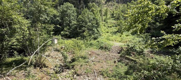 Grundstück in Götzis, Austria, Nr. 142671 14