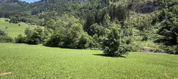 Grundstück in Götzis, Austria, Nr. 142671 2