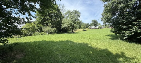 Grundstück in Götzis, Austria, Nr. 142671 17