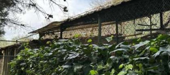 12-Zimmer Wohnung in Morlupo, Italy, Nr. 100450 23