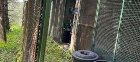 12-Zimmer Wohnung in Morlupo, Italy, Nr. 100450 25