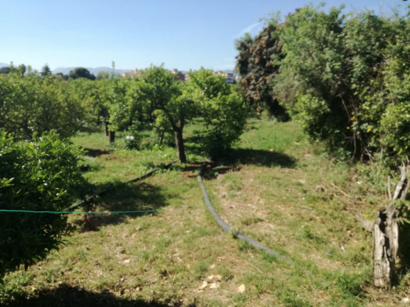 Grundstück in Palermo, Italy, Nr. 333868