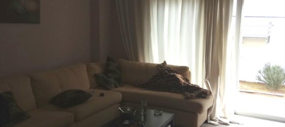 Imóvel comercial T6 em Nea Penteli, Greece N.º 5966 5