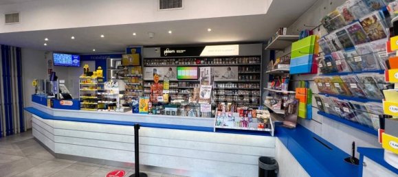 3-Zimmer Gewerbliche Immobilie in Turin, Italy, Nr. 212333 20