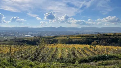 Terreno em Krems an der Donau, Austria N.º 77558