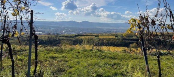 Terreno em Krems an der Donau, Austria N.º 77558 4