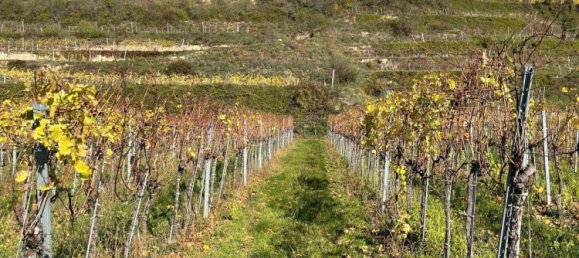 Terreno em Krems an der Donau, Austria N.º 77558 2