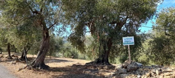 92m² Land in Diano San Pietro, Italy No. 139578 27