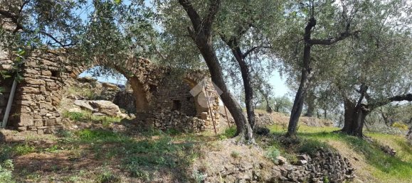 92m² Land in Diano San Pietro, Italy No. 139578 24