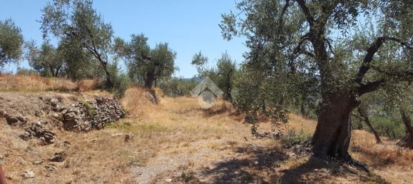 92m² Land in Diano San Pietro, Italy No. 139578 14