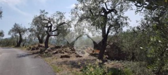 92m² Land in Diano San Pietro, Italy No. 139578 20