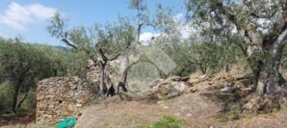 92m² Land in Diano San Pietro, Italy No. 139578 16