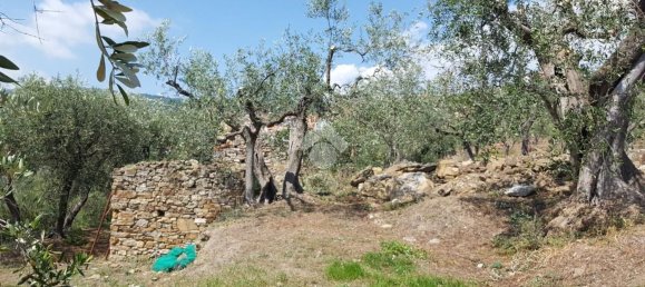 92m² Land in Diano San Pietro, Italy No. 139578 13