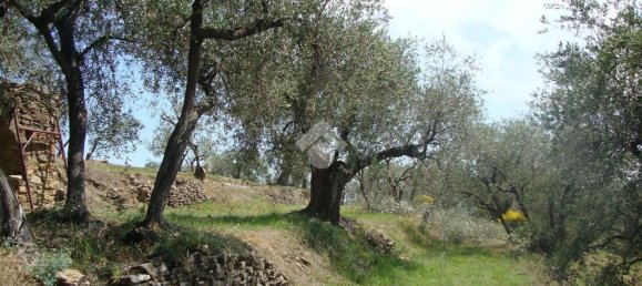 92m² Land in Diano San Pietro, Italy No. 139578 32