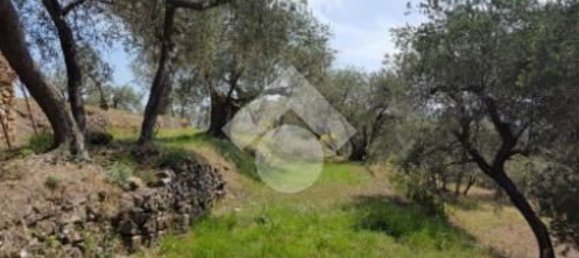 92m² Land in Diano San Pietro, Italy No. 139578 18
