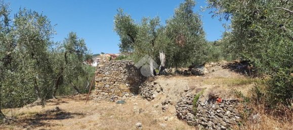 92m² Land in Diano San Pietro, Italy No. 139578 6