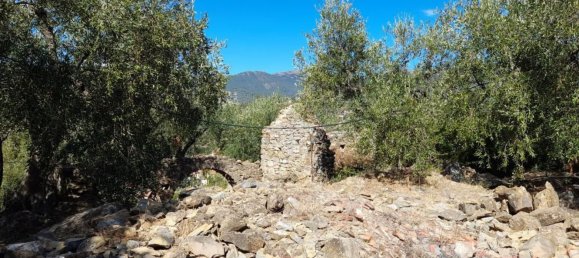 92m² Land in Diano San Pietro, Italy No. 139578 26