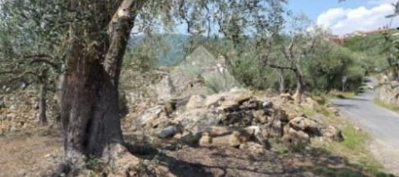 92m² Land in Diano San Pietro, Italy No. 139578 23