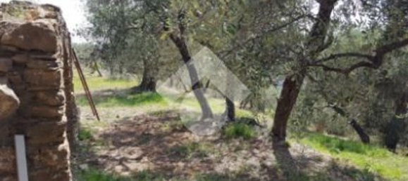 92m² Land in Diano San Pietro, Italy No. 139578 25