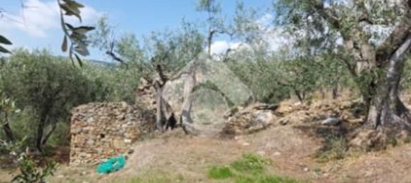 92m² Land in Diano San Pietro, Italy No. 139578 10