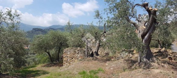 92m² Land in Diano San Pietro, Italy No. 139578 30