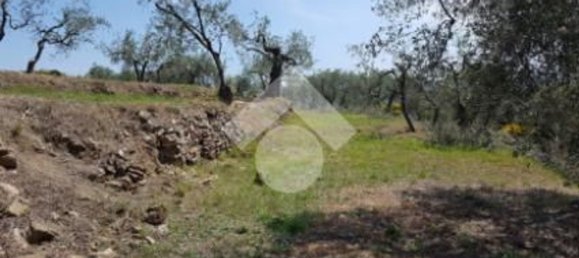 92m² Land in Diano San Pietro, Italy No. 139578 22