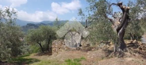 92m² Land in Diano San Pietro, Italy No. 139578 19