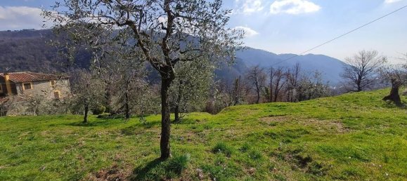 10-salle Maison à Villa Basilica, Italy No. 159030 29