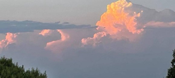 4 bedrooms House in San Miguel de Salinas, Spain No. 187927 4