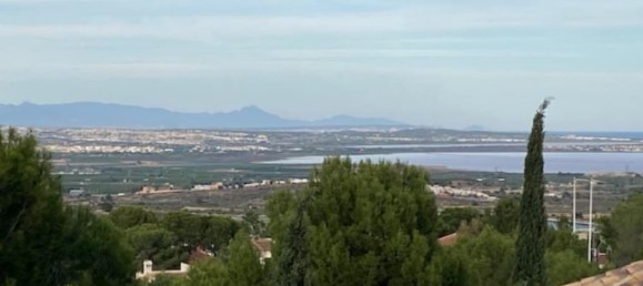 4 bedrooms House in San Miguel de Salinas, Spain No. 187927 38