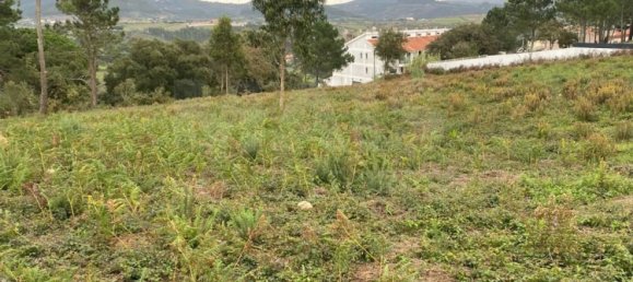 7242m² Land in Mafra, Portugal No. 125411 4