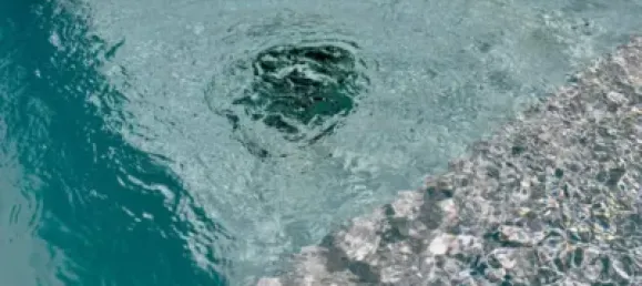 5 chambres Maison à Lloret de Mar, Spain No. 190370 39