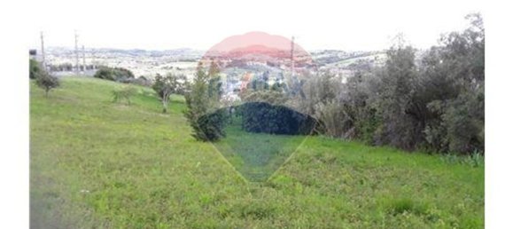 Casa T3 em Alcobaça, Portugal N.º 24779 8